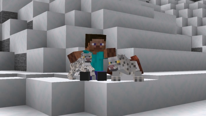 Can You Tame A Snow Leopard In Minecraft - Infoupdate.org