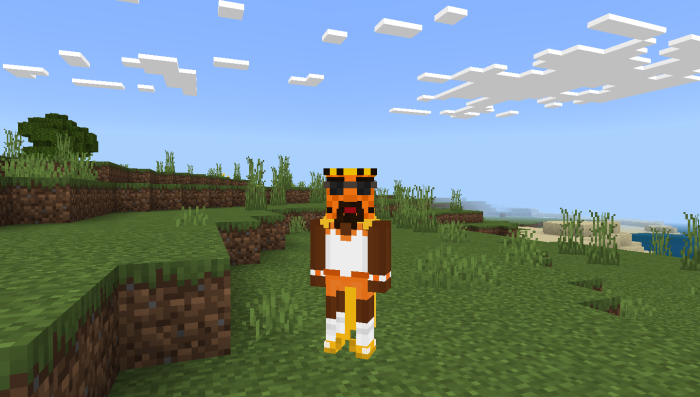 Minecraft Regular Show Texture Pack