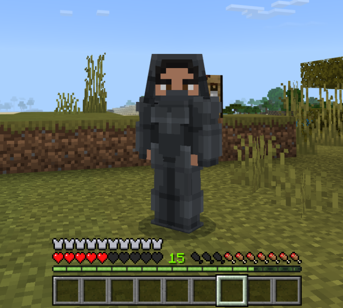 Assassin Set — Minecraft Bedrock addon, screenshot 2