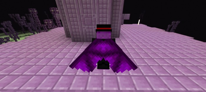 Purple Ender Dragon Wings for Elytra — Minecraft Bedrock texture pack, screenshot 2