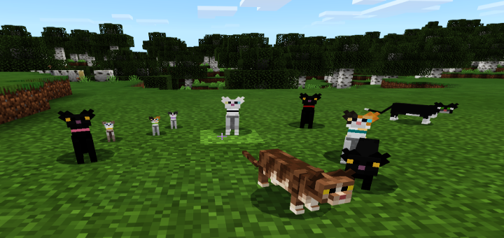 Cuter Vanilla Cats *Survival Friendly* With Kitty Paws