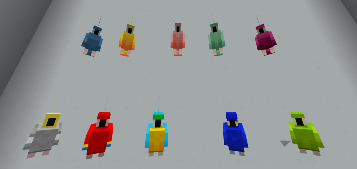 ItzWaffles21 Parrot Expansion Add-on