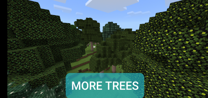 More Trees