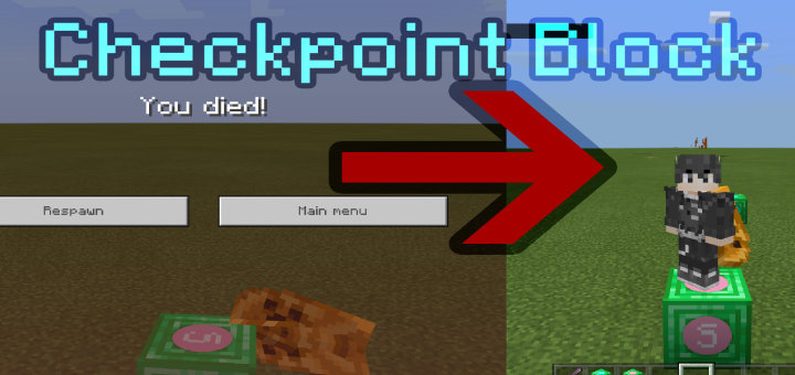 Checkpoint Blocks
