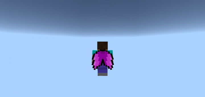 Elytra Wings Pack