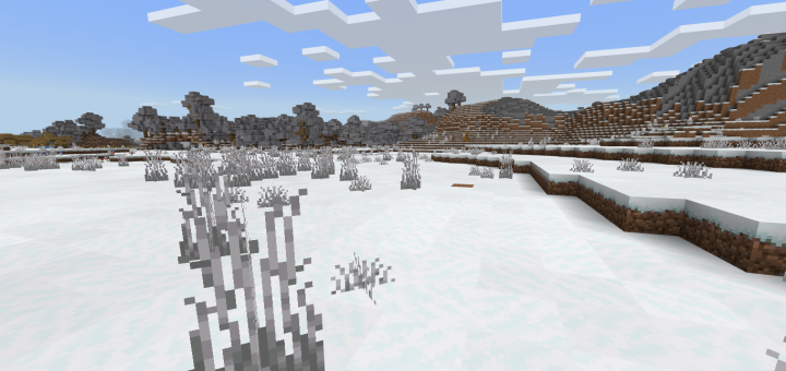 Snowy World