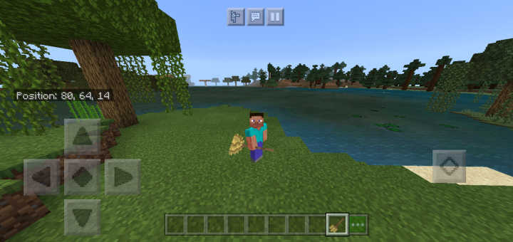 Broomstick Trident