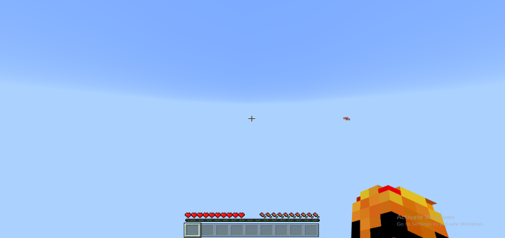 Minecraft But, Every Block Is Invisible