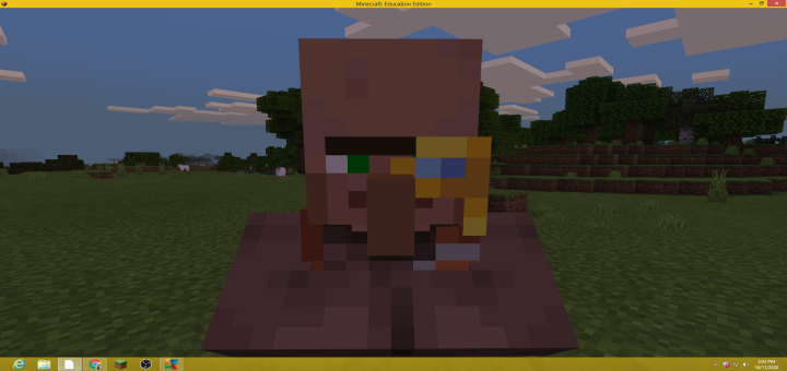 Village In Between Swamp & Plains Biomes (Seed)